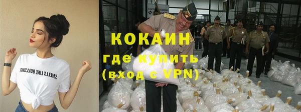 шишки Михайловск