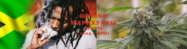шишки Михайлов