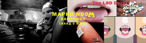 шишки Михайловск