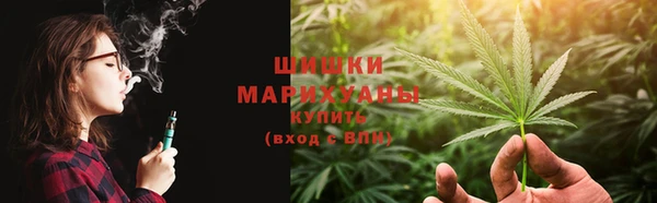 шишки Михайлов