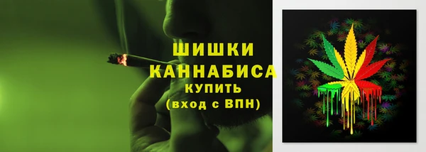 шишки Михайловск