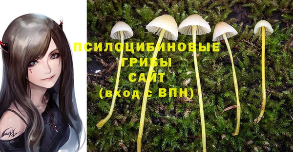шишки Михайлов