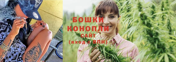 шишки Михайловск