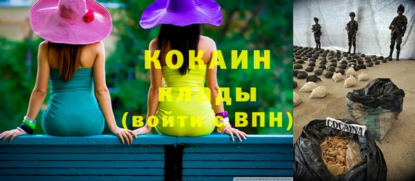 шишки Михайловск