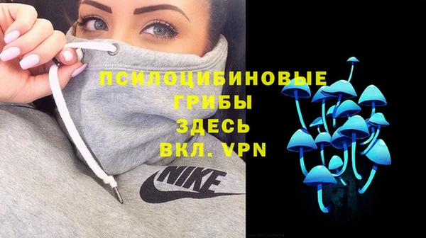 шишки Михайлов