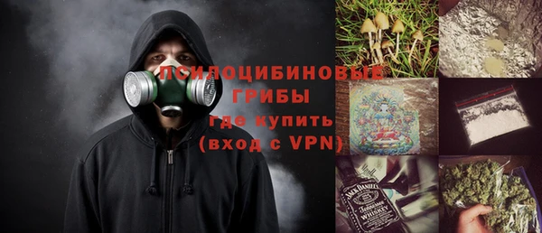 шишки Михайловск