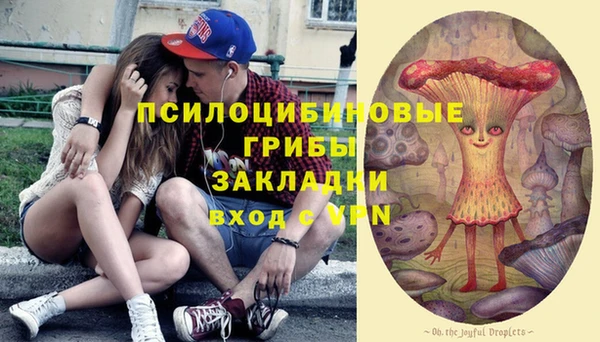 spice Михайловка
