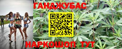 прущие грибы Балахна