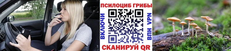кракен зеркало  Семилуки  Галлюциногенные грибы прущие грибы 