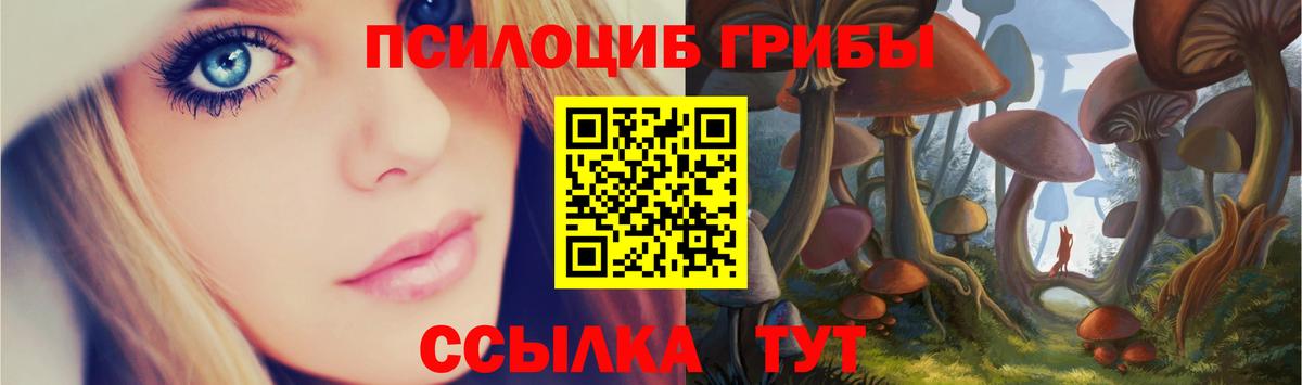 А ПВП Семилуки